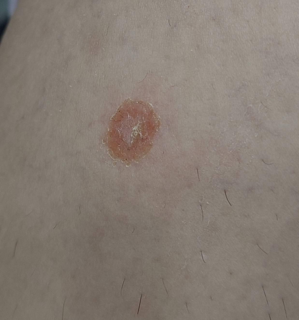 亞洲獸醫專科醫院