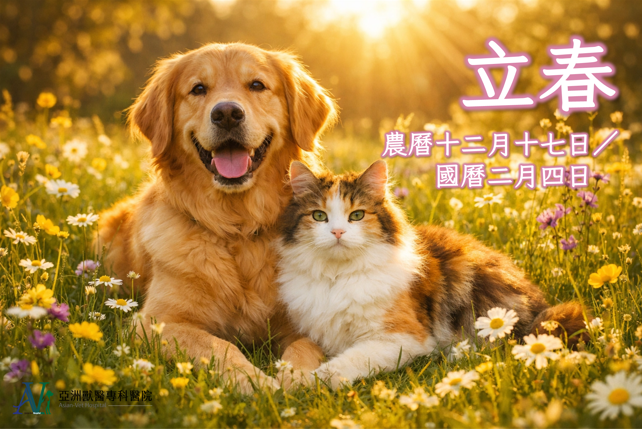 亞洲獸醫專科醫院