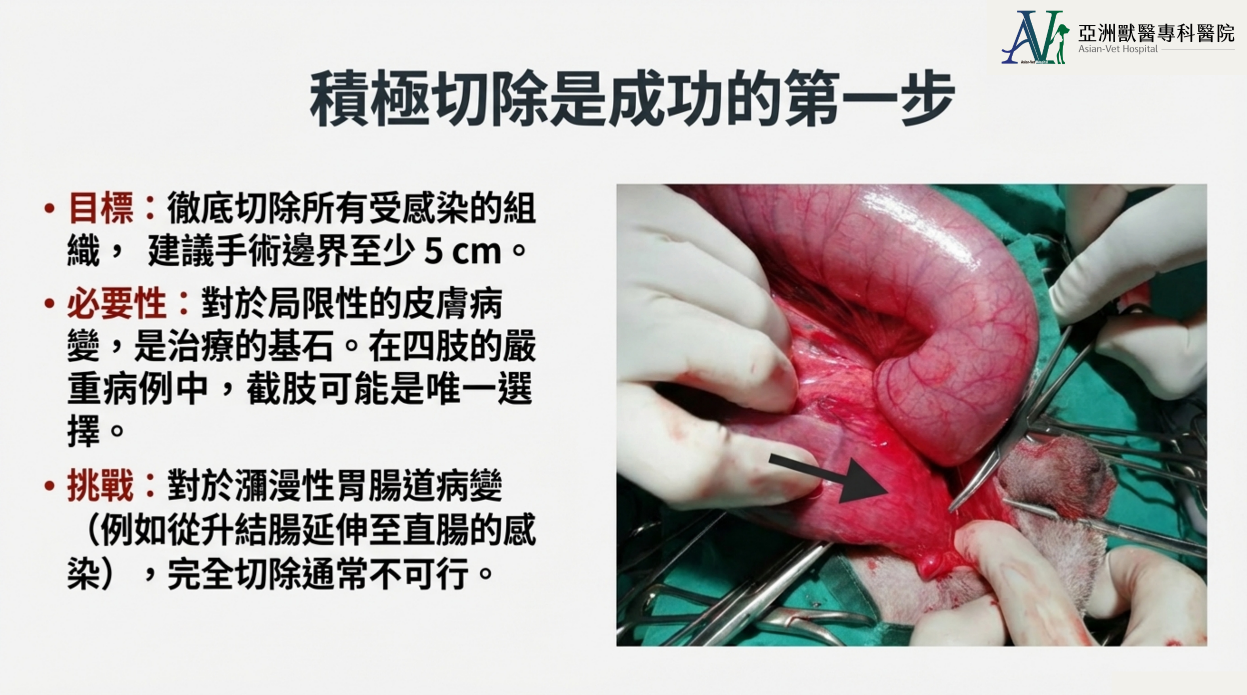 亞洲獸醫專科醫院