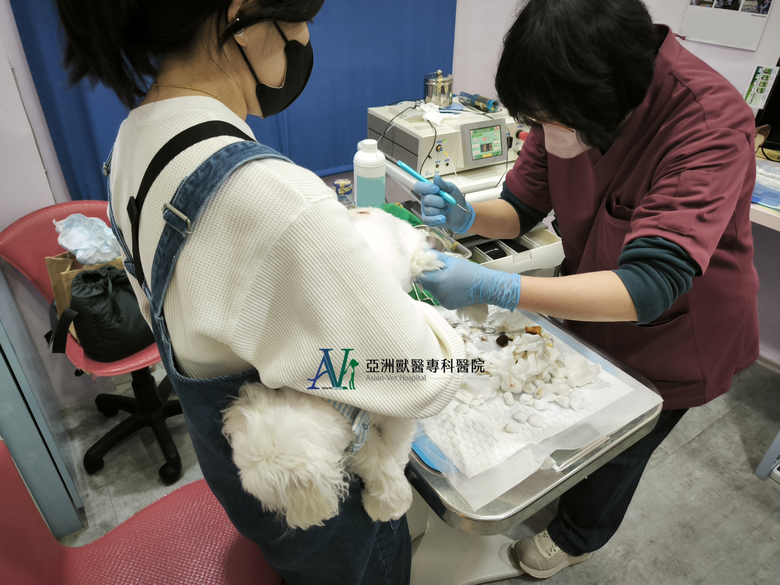 亞洲獸醫專科醫院