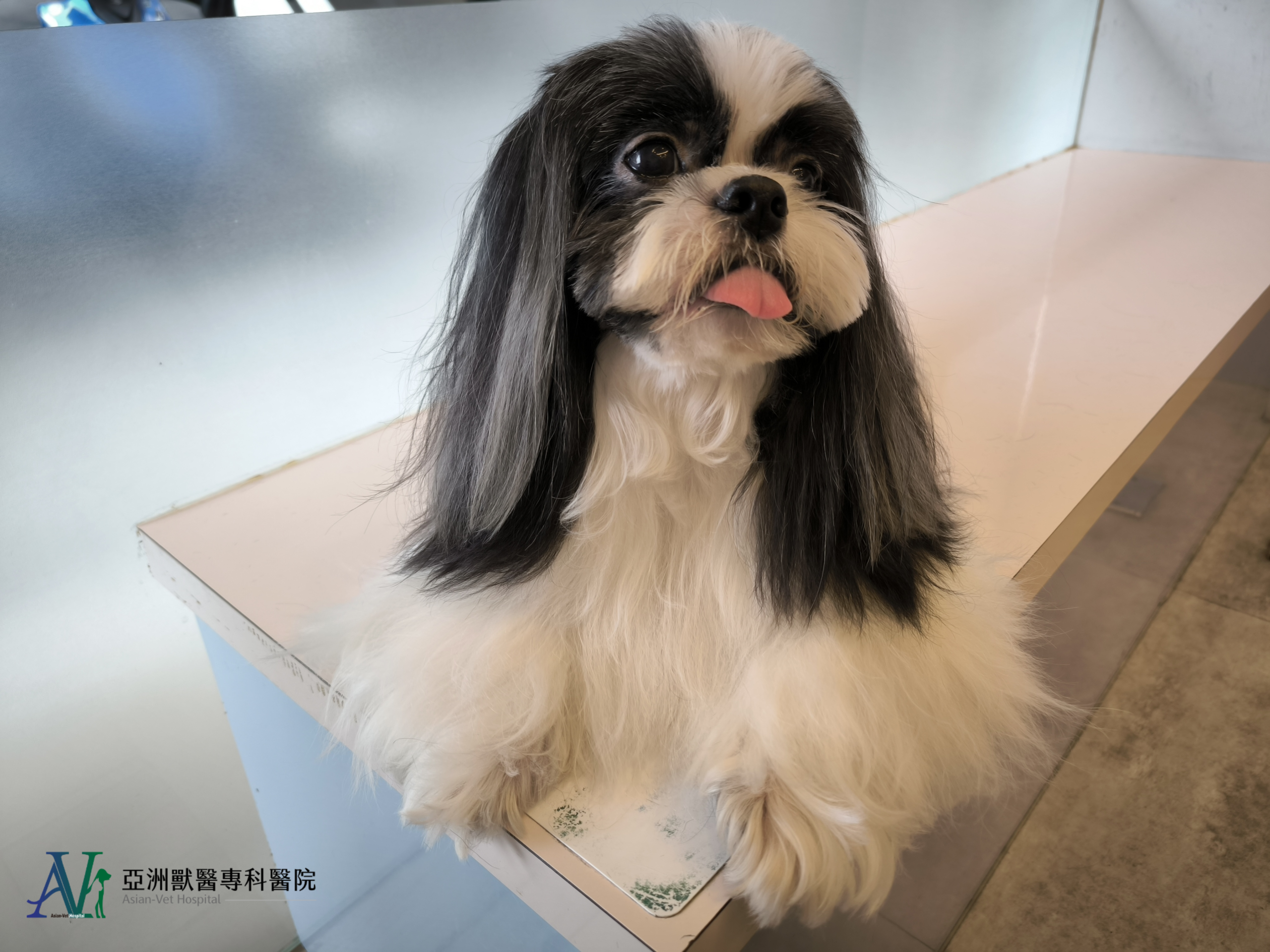 亞洲獸醫專科醫院