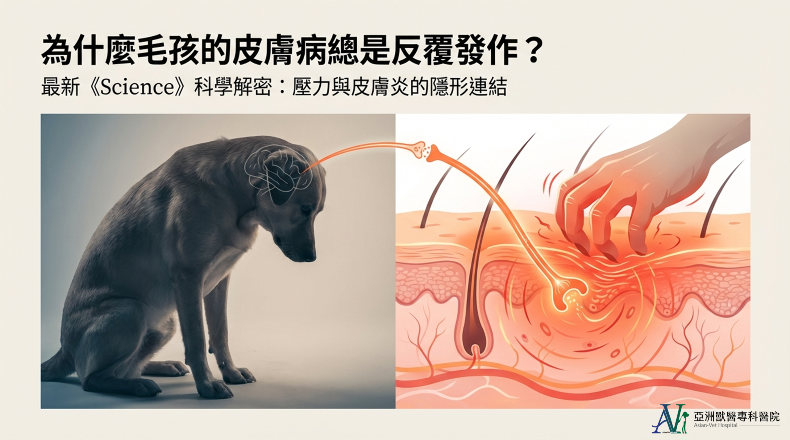 亞洲獸醫專科醫院