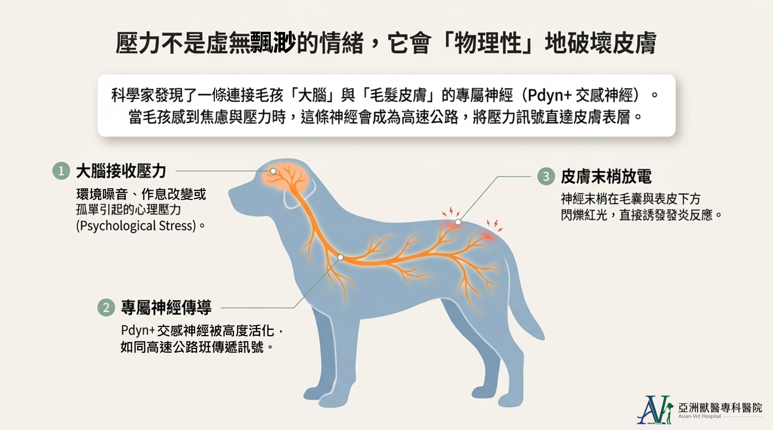 亞洲獸醫專科醫院