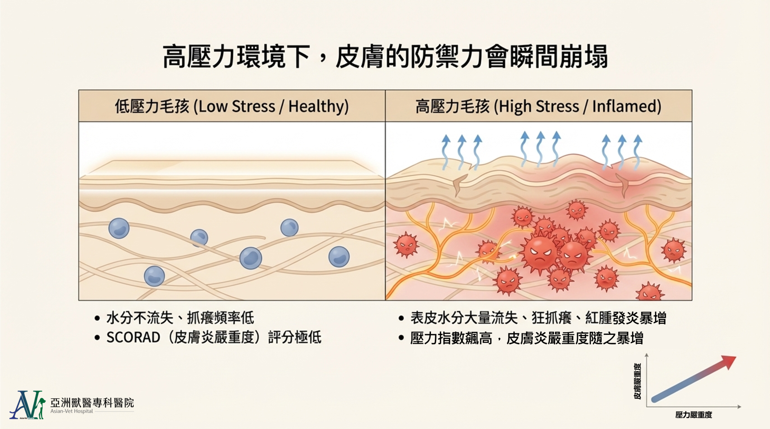 亞洲獸醫專科醫院