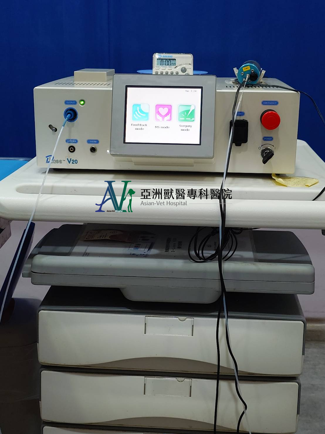 亞洲獸醫專科醫院