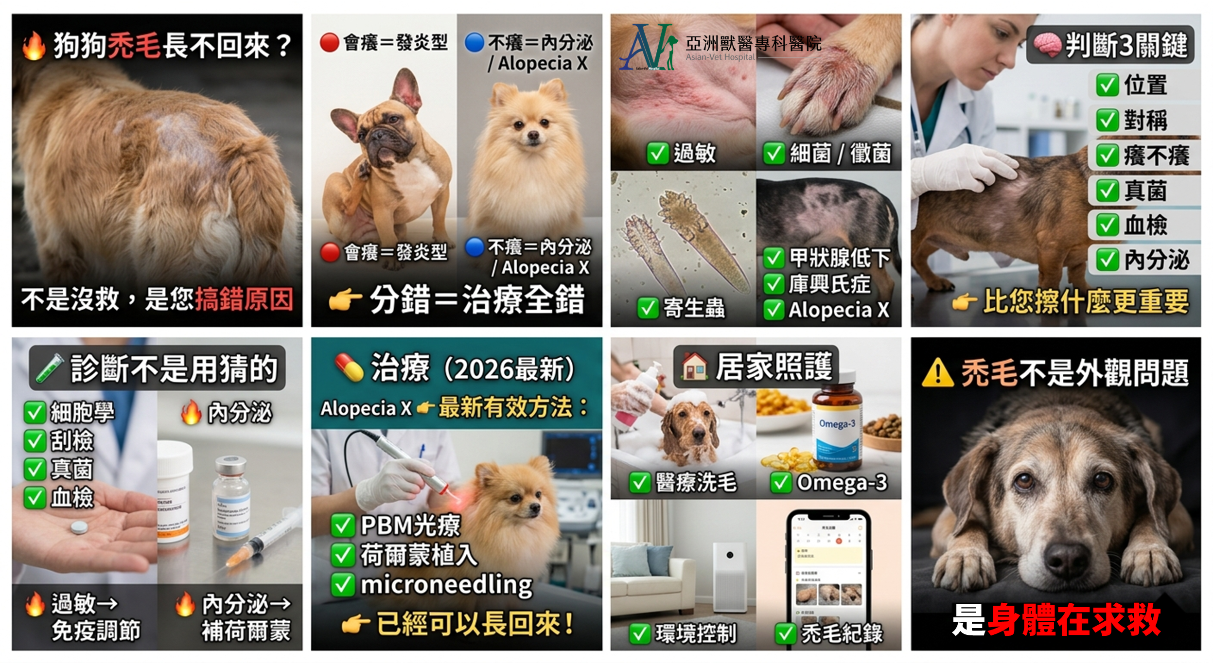 亞洲獸醫專科醫院