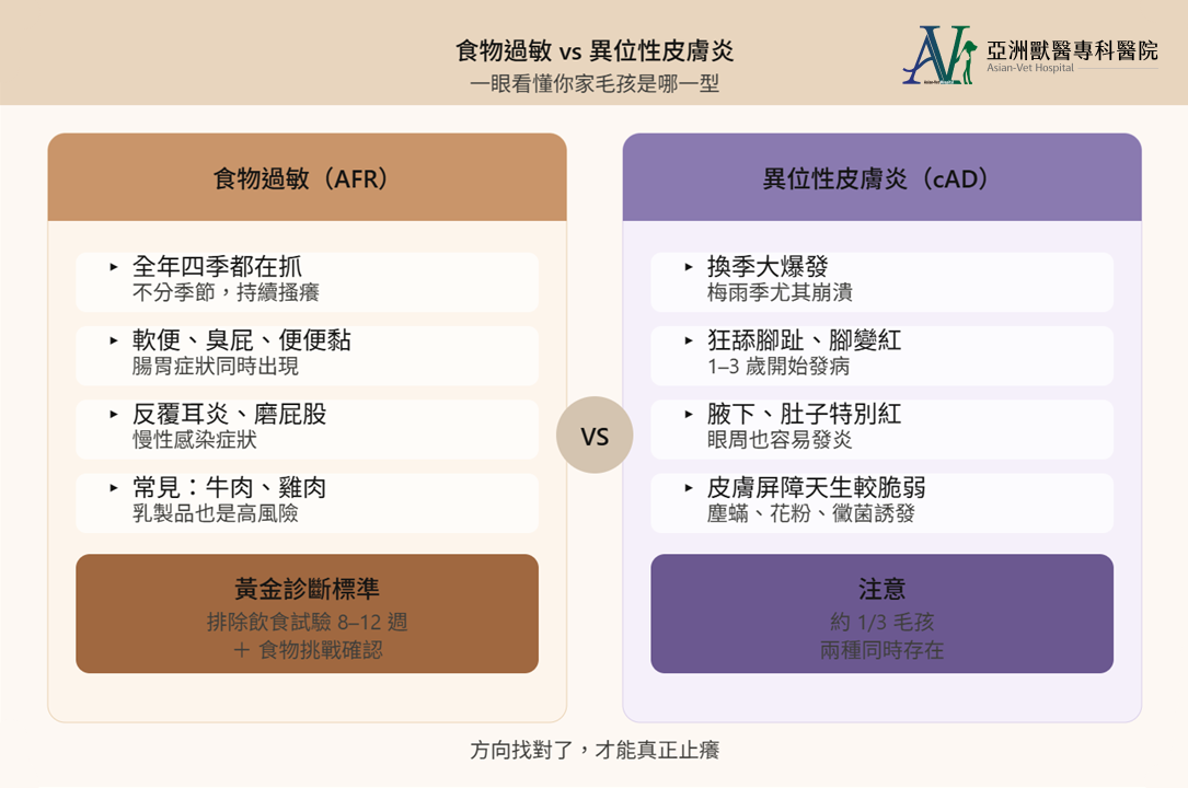 亞洲獸醫專科醫院
