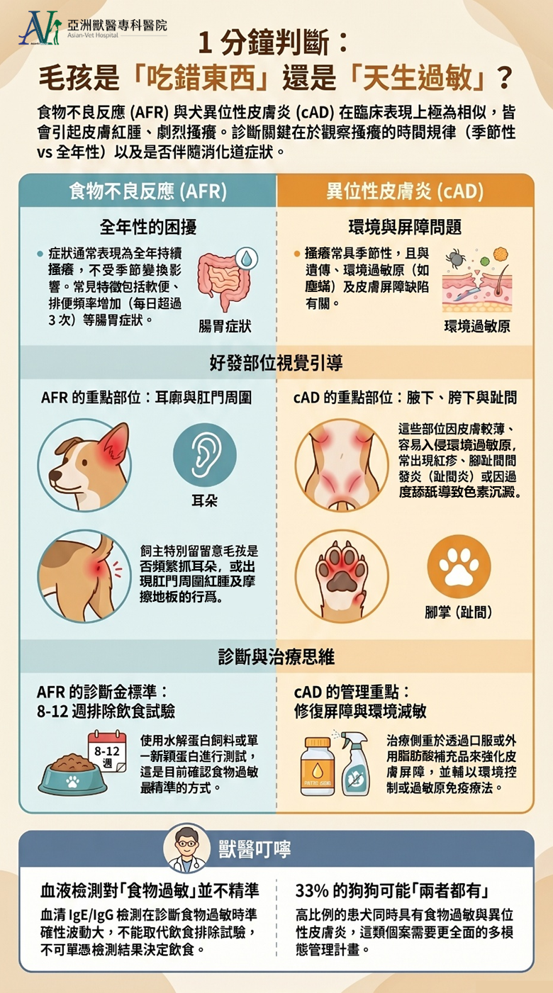 亞洲獸醫專科醫院