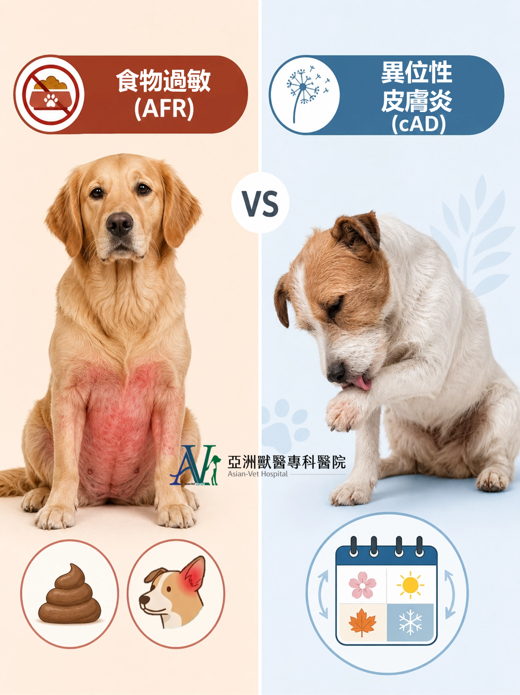 亞洲獸醫專科醫院