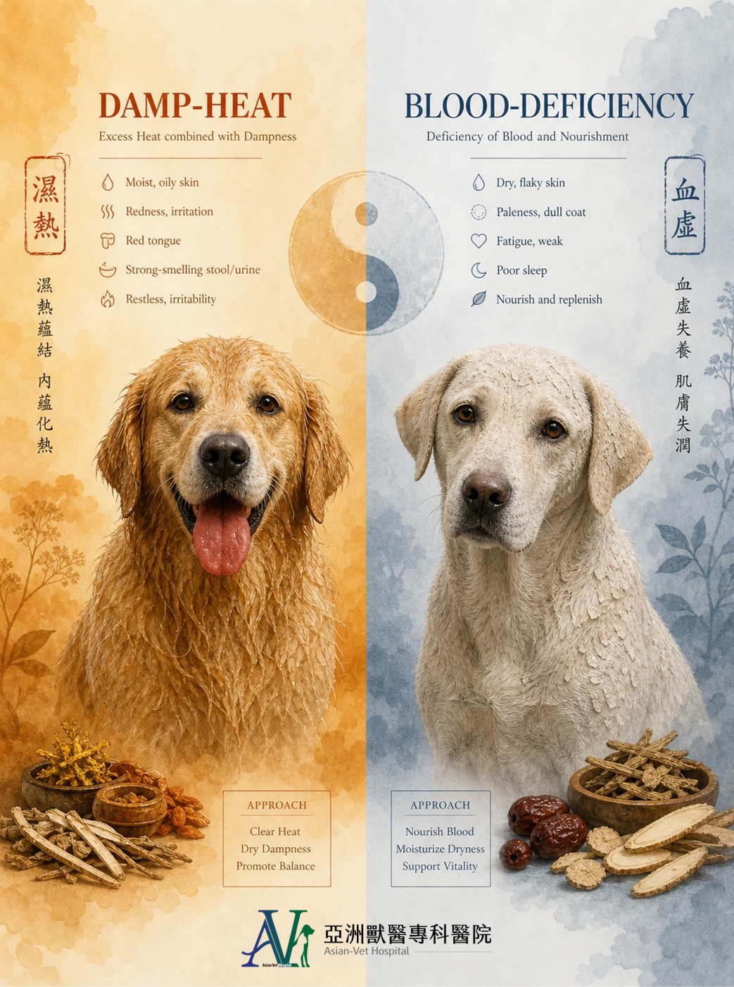 亞洲獸醫專科醫院