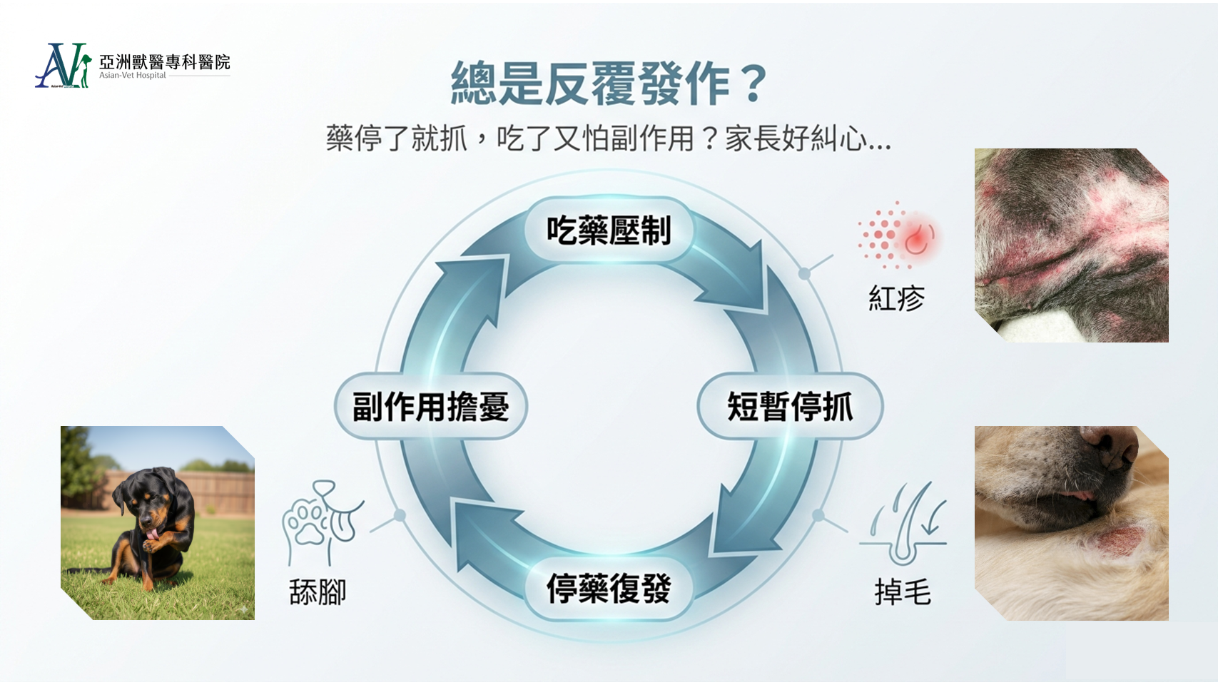 亞洲獸醫專科醫院
