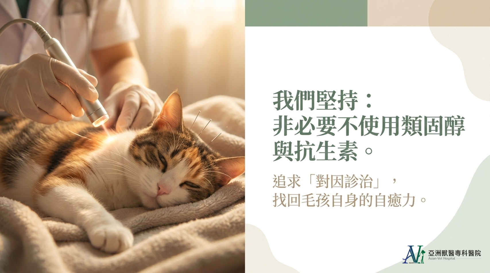 亞洲獸醫專科醫院