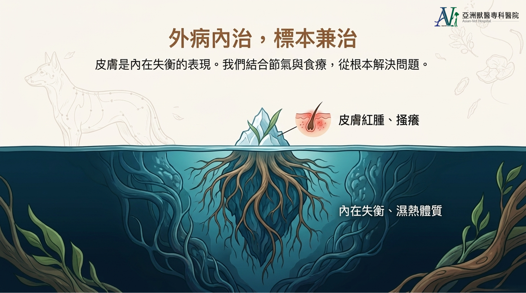 亞洲獸醫專科醫院