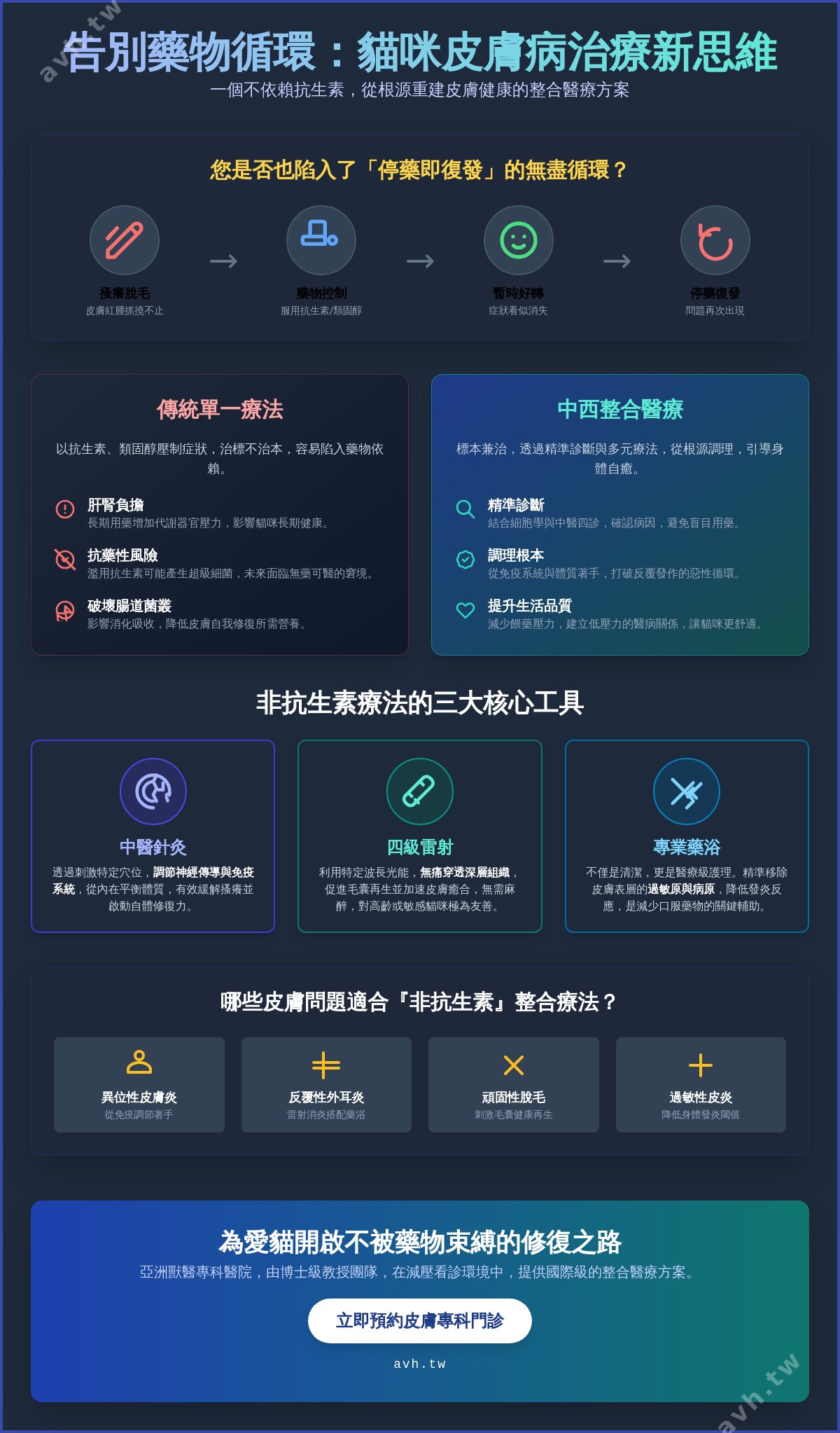 貓咪皮膚病不用抗生素也能好？專業獸醫解析中西醫整合治療新趨勢