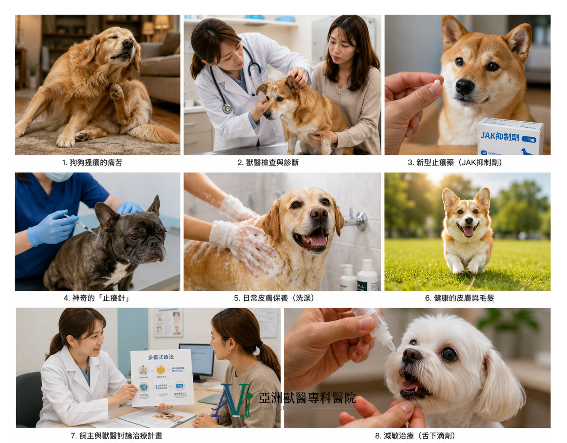 亞洲獸醫專科醫院