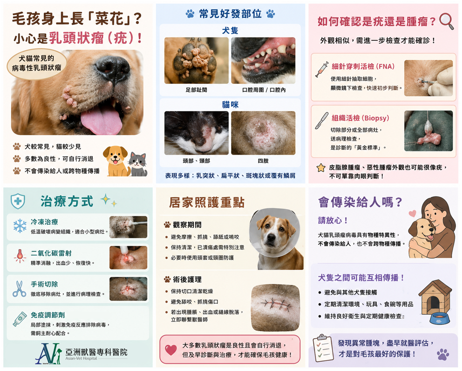 亞洲獸醫專科醫院