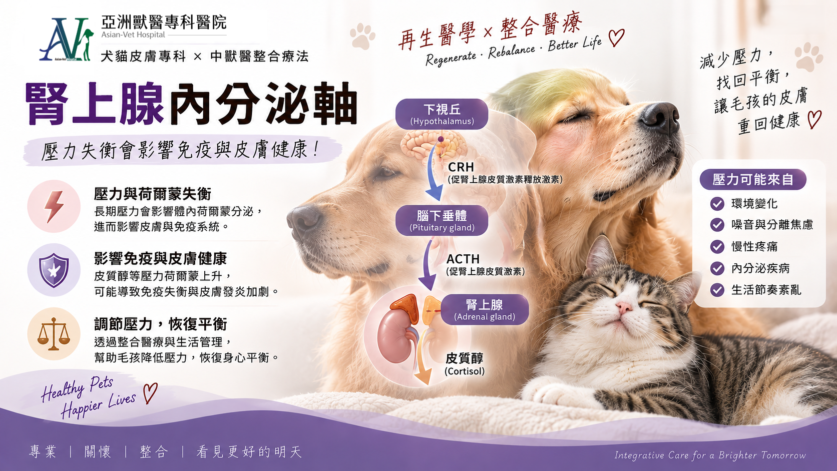 亞洲獸醫專科醫院