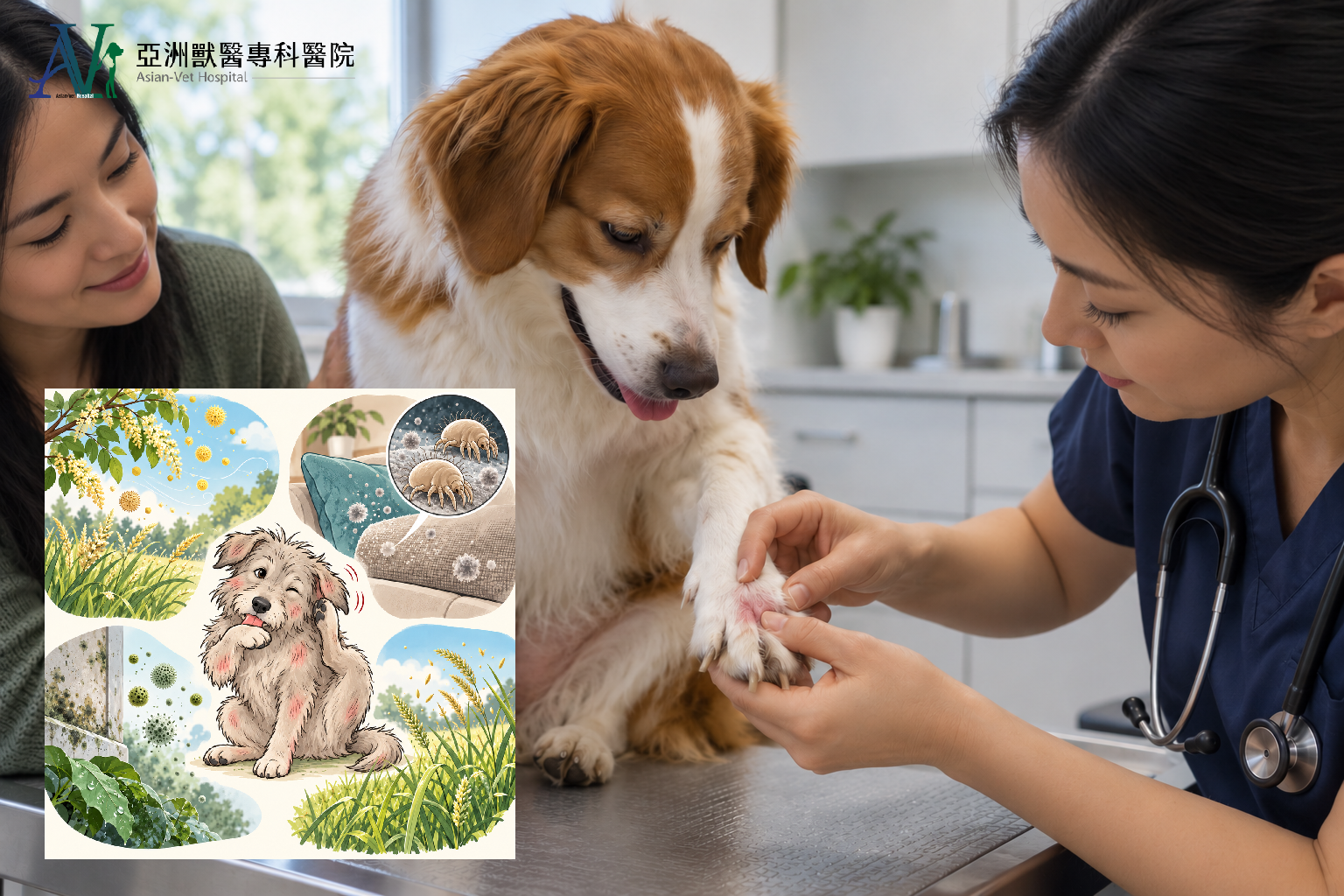 亞洲獸醫專科醫院