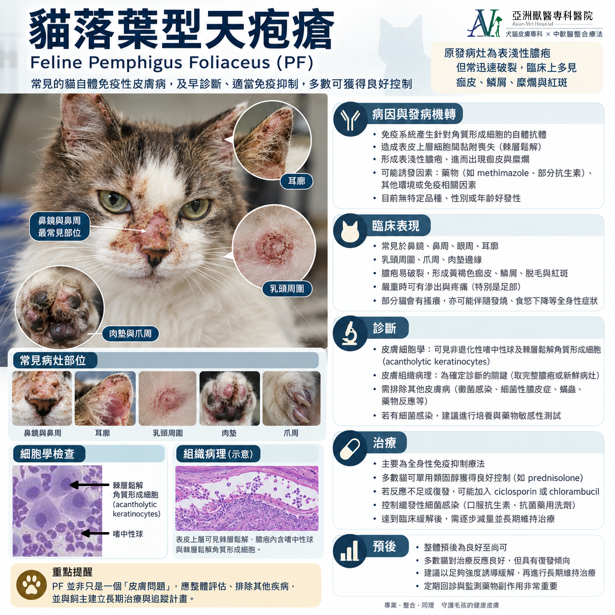 亞洲獸醫專科醫院