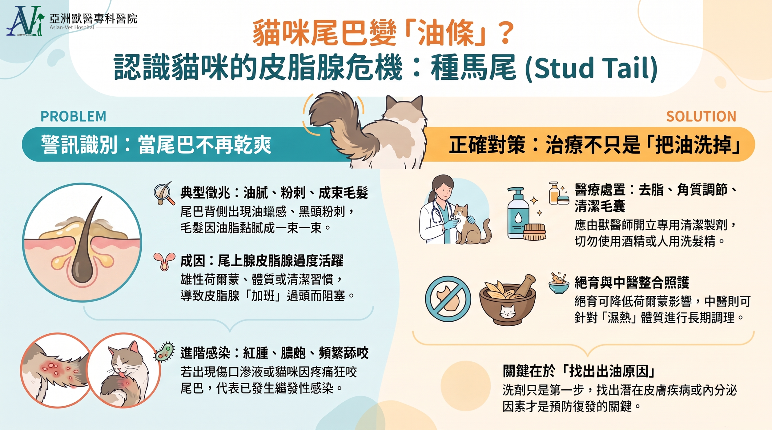 亞洲獸醫專科醫院