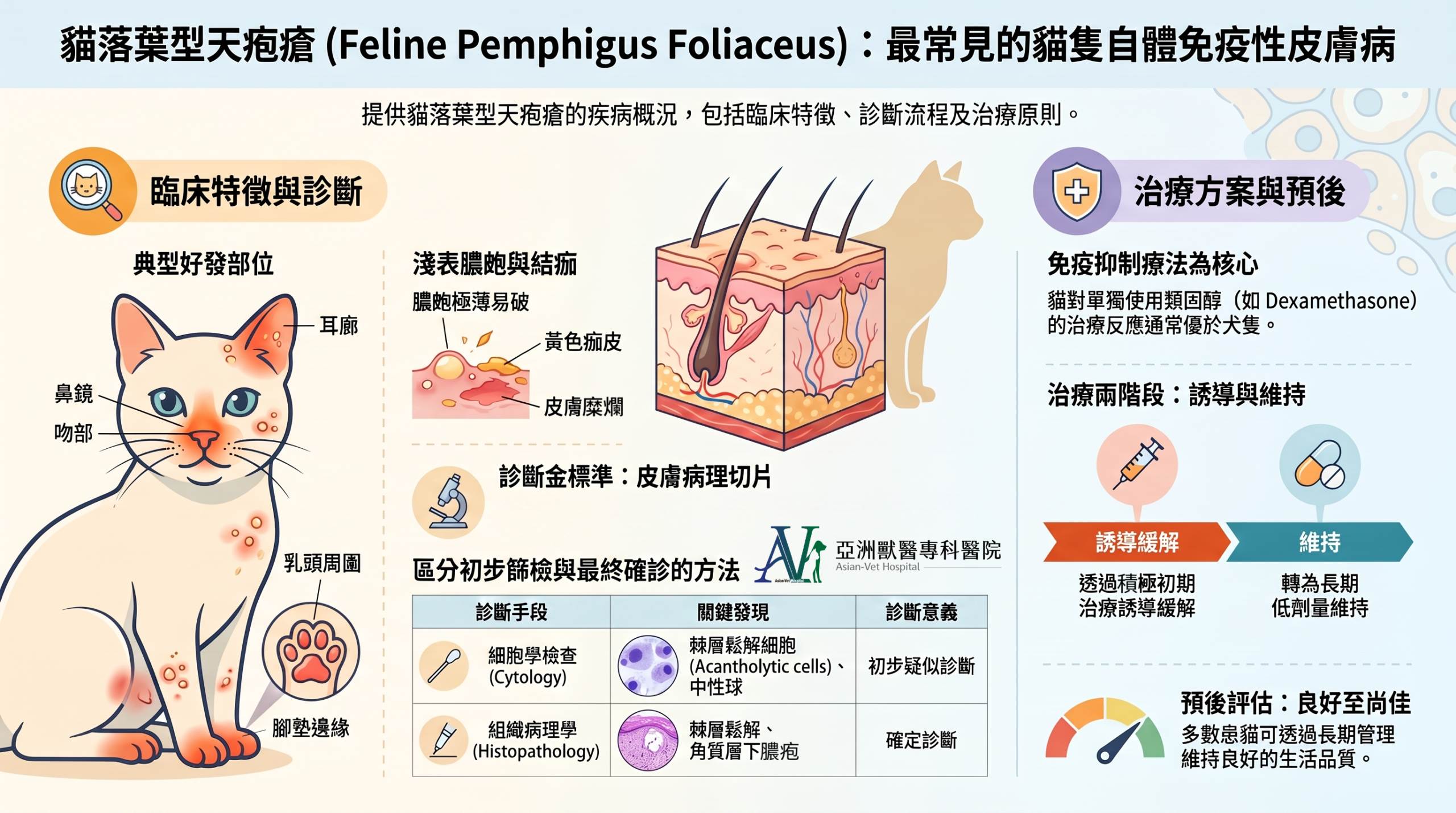 亞洲獸醫專科醫院